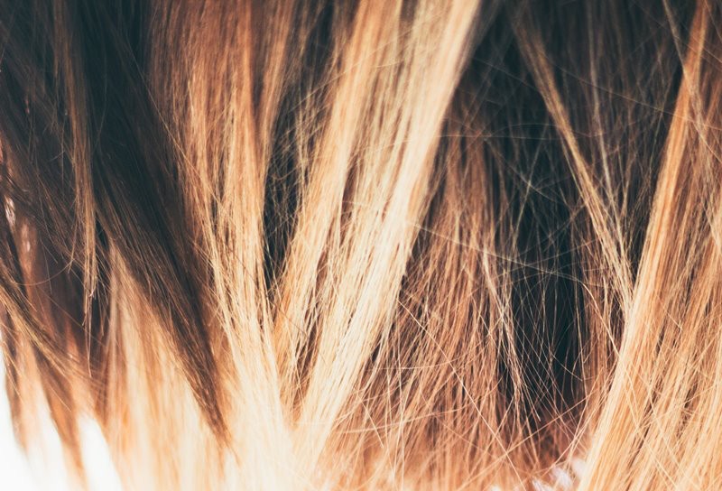 Les cheveux des première année sont la proie de leurs aînés