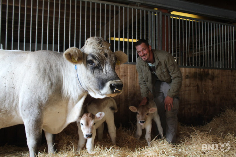 Thierry Froidevaux et ses vaches grises rhétiques