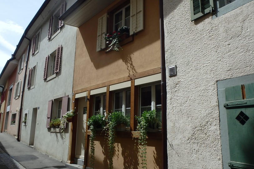 1er prix catégorie « maisons avec abords fleuris visibles de la rue » : Françoise Champion, rue du Nord 10