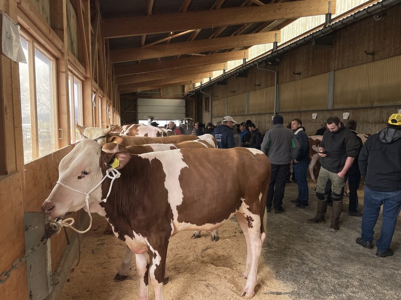 Les agriculteurs du Jura, du Jura bernois et de Neuchâtel ont fait le déplacement au manège du plateau d’Orange.