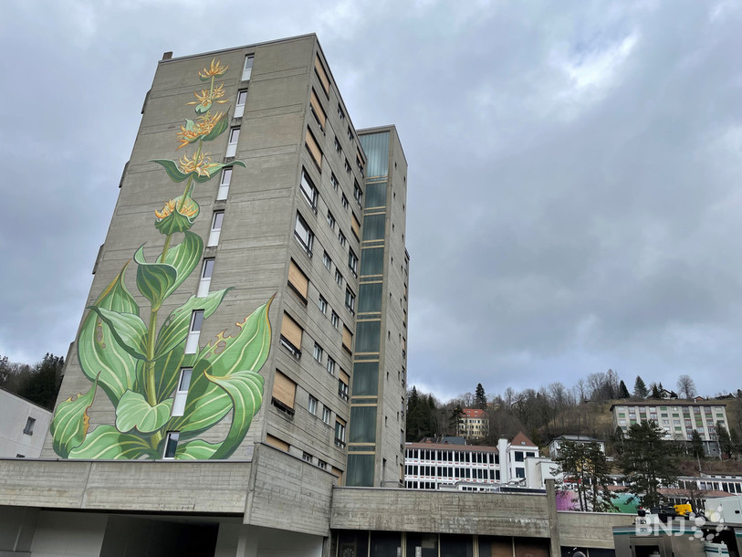 Les immeubles de la rue Georges-Favre 2 et 4 devraient se repeupler ces prochains mois.