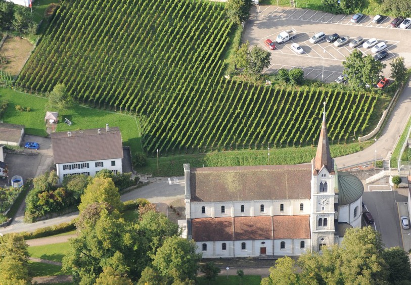 Les vignes d'Aurèle Morf, réssucitées après le gel, promettent un bon cru 2017.