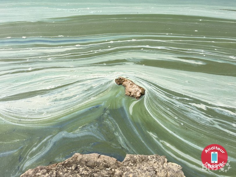 Depuis quelques jours, le Lac des Taillères est recouvert d'une étrange substance.