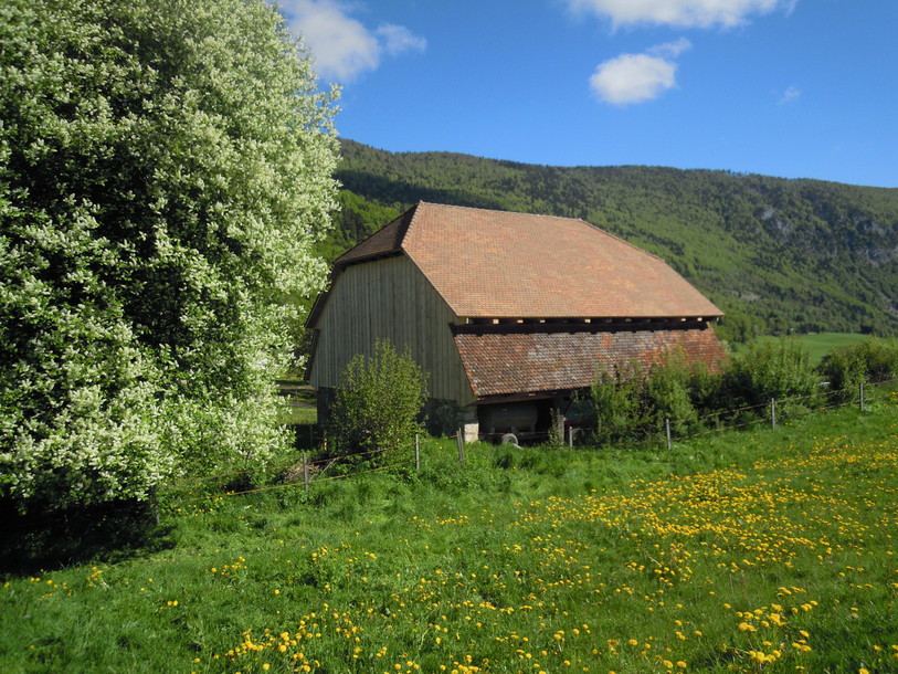 L'ancienne tuilerie d'Orvin est située à proximité de la forêt.