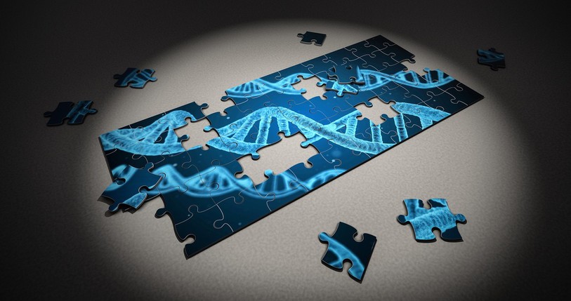 puzzle d'ADN
