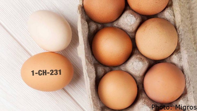 La présence de salmonelles a été découverte dans des œufs.