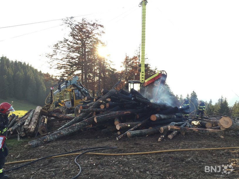 Une pile de bois a été calcinée
