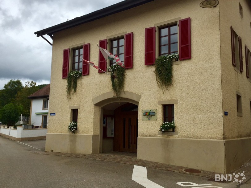 élection movelier