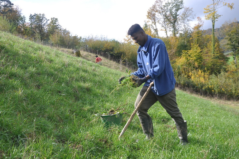 Un des réfugiés qui a pris part au programme d'occupation dans l'agriculture