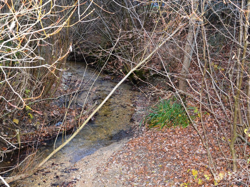 Le ruisseau de Châtillon à Courtételle