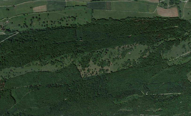 Le pâturage boisé de « La Joux-Derrière » a été récompensé vendredi. (Photo: Google maps)