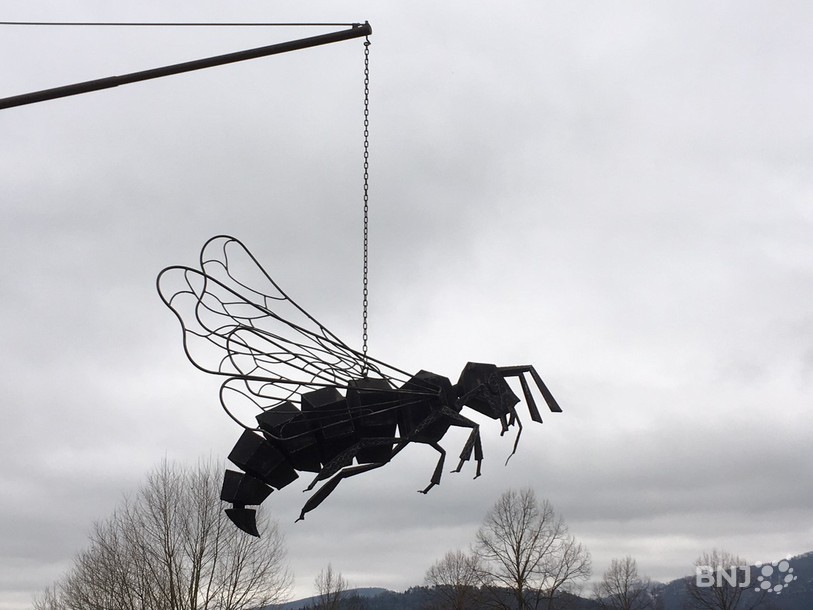 Une abeille