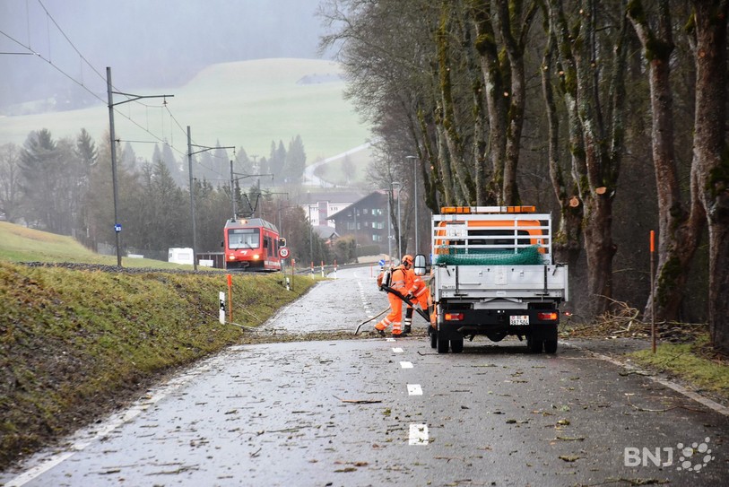 Les services des ponts et chaussées étaient à pied d'oeuvre mercredi matin pour dégager les routes encombrées de branches et parfois d'arbres entiers.