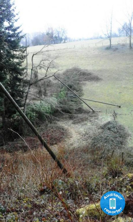 Fontenais, Villars-sur-Fontenais, chute d'un arbre sur une ligne
