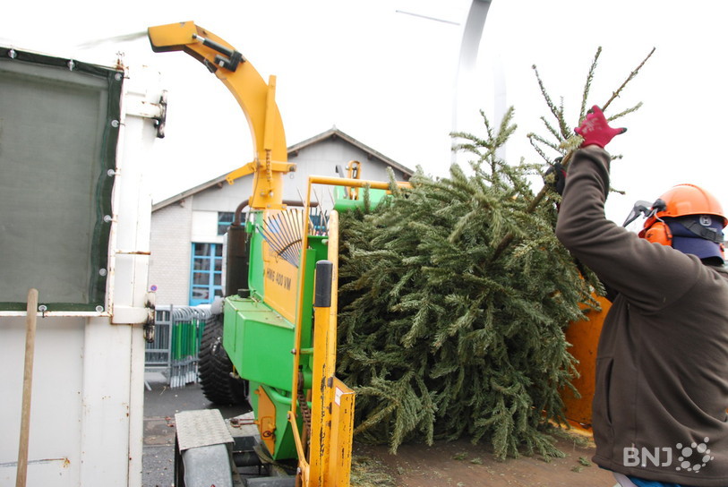 Plus de 200 sapins ont terminé leur carrière en copeaux, à l'occasion de la 7e Fête du sapin organisée par la Ville de Neuchâtel.