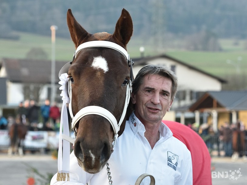 Pierre Koller