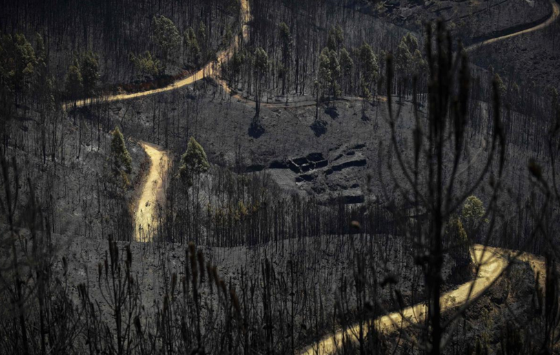 Le Portugal a été touché en 2017 par 15'000 incendies de forêts. (Photo fournie par l'association).