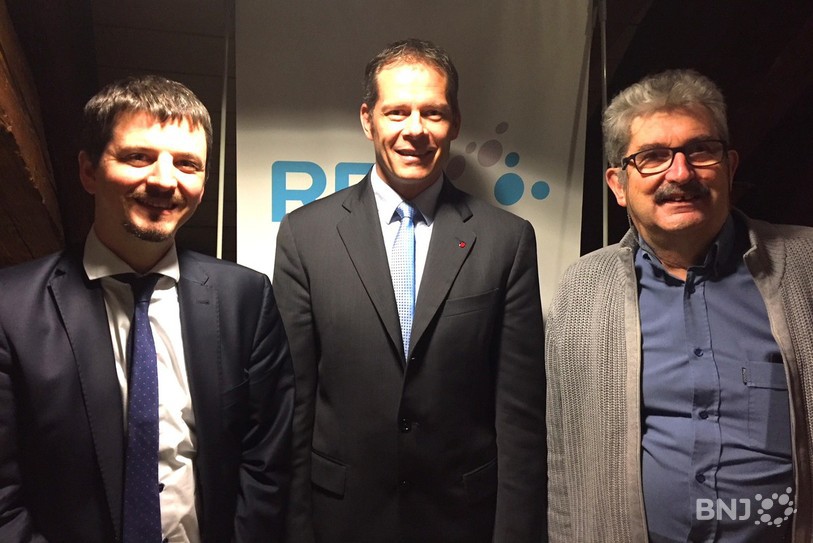 Pure Politique