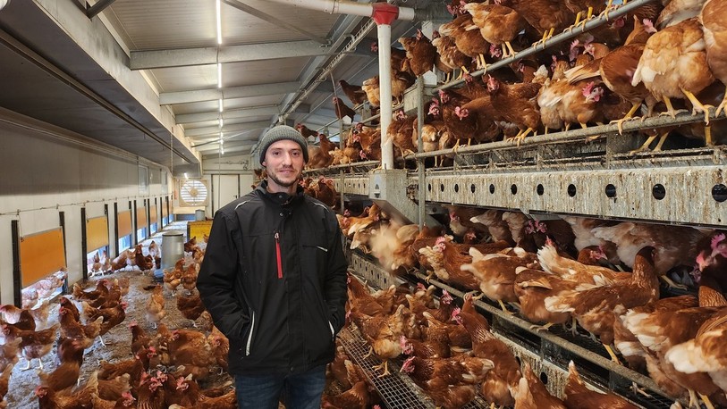 Thibault Studer élève 4000 poules pondeuses à la ferme des Boulaies à Lugnez.