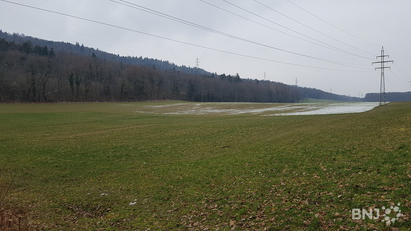 Le site des Vernets à Corcelles, qui accueille déjà plusieurs entreprises, a été retenu par Anton Paar TriTec pour construire sa nouvelle usine.