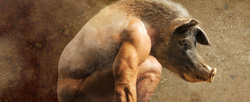La Ferme des Animaux