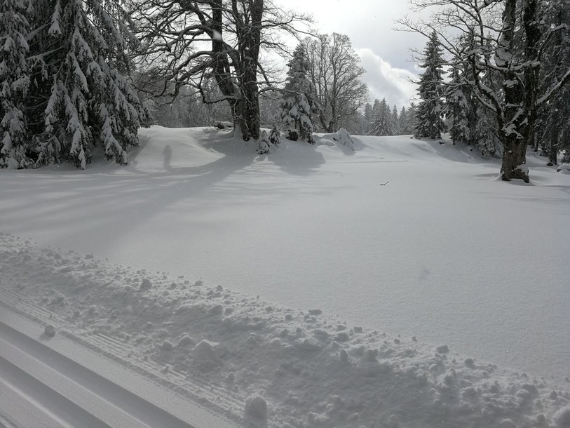 Photo prise lundi par les organisateurs qui évoquent d'excellentes conditions. 