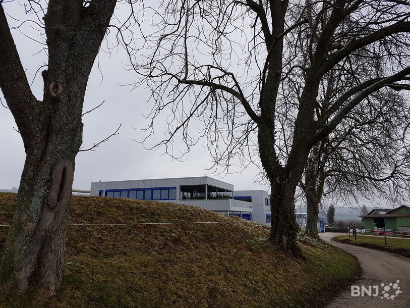 L'entreprise Recomatic derrière les fameux marronniers centenaires.
