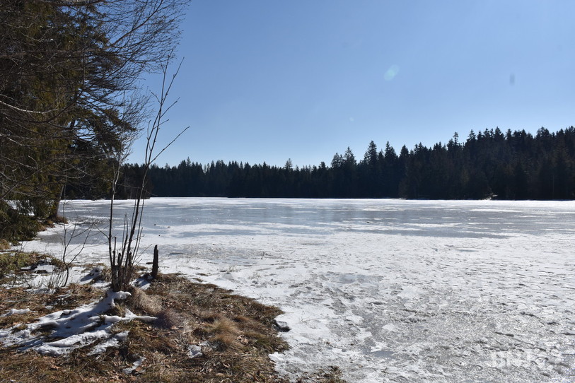 Etang de la Gruère gelé