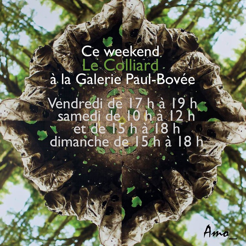 Le Colliard - André Monnerat