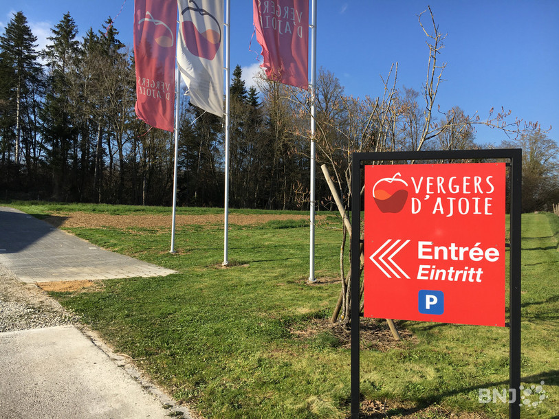 Deux hectares des Vergers d'Ajoie seront consacrés à la production de kiwis.