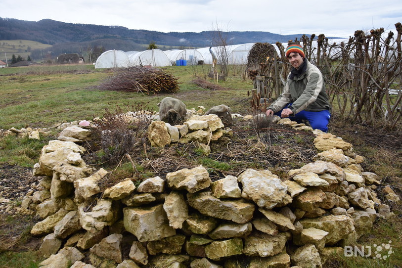 Permaculture, jardin de la clef des champs, Courgenay