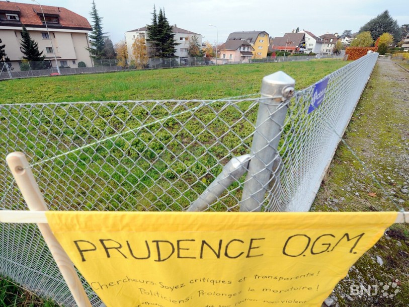 Le Conseil fédéral présente une loi spéciale sur la réglementation des nouvelles techniques de sélection végétale. (Photo : KEYSTONE/Dominic Favre)