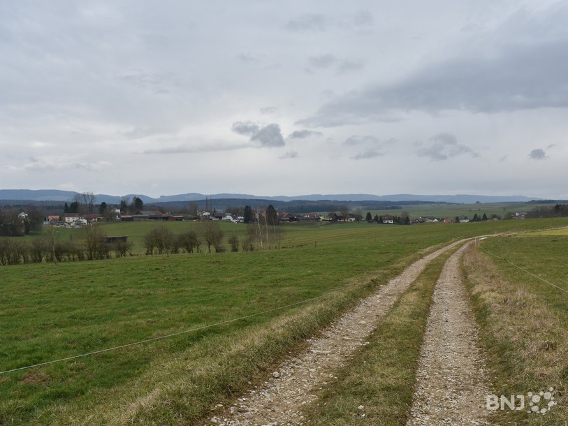 Voici la vue qui s'offrirait aux personnes qui séjourneraient dans les cabanes forestières. 