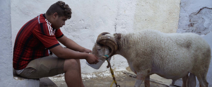 Habib Halfaya et El Bouc
