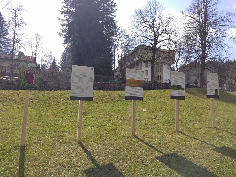 Exposition