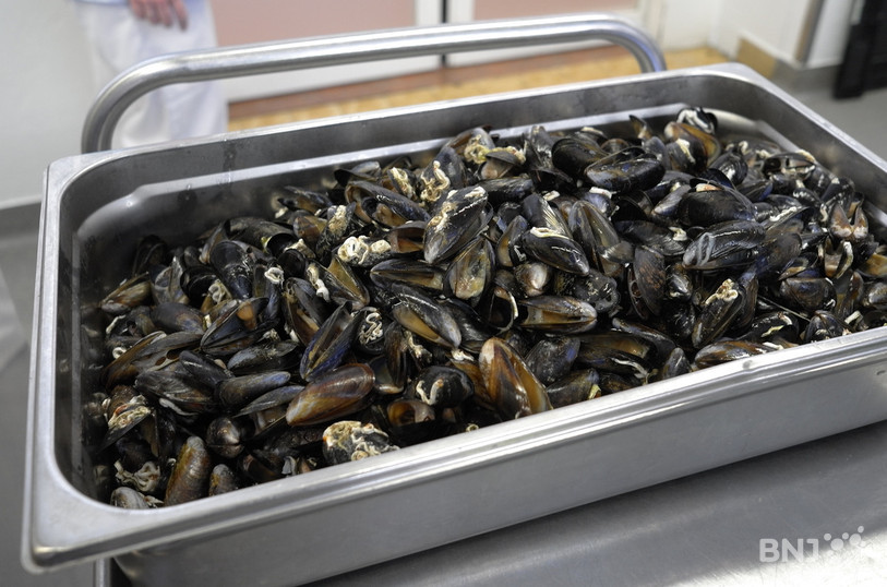 Des moules prêtes à être dégustées…