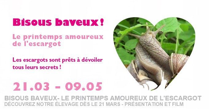 Bisoux Baveux au Musée d'histoire naturelle à Neuchâtel