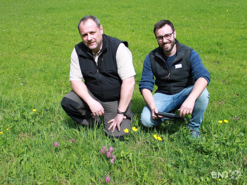Alain Mertz et Rafael Molina devant des fritillaires