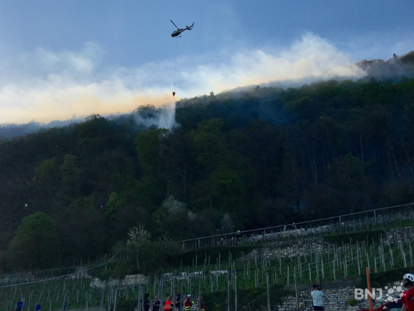 La forêt s'est embrasée entre La Neuveville et Gléresse