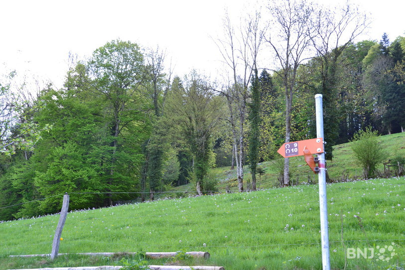Réseau équestre