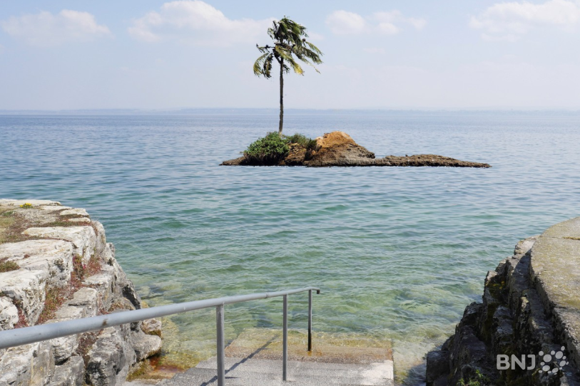 L'île flottante et son palmier imaginés au large de Gorgier. Image de synthèse : Christian Gonzenbach.