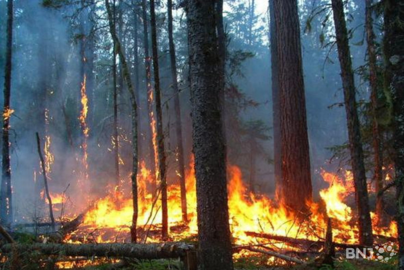 Plus forts ensemble : les cantons de l'ouest de l'Arc jurassien veulent travailler ensemble contre les feux de forêt. (Photo : archives).