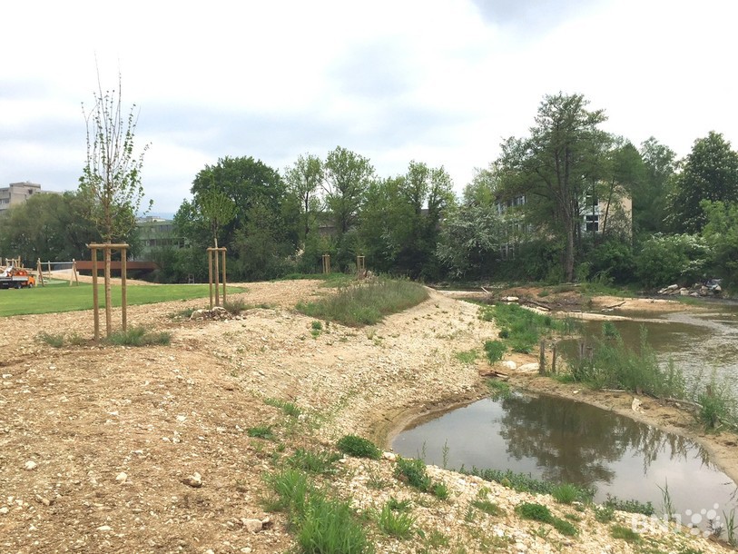 Delémont Marée Basse