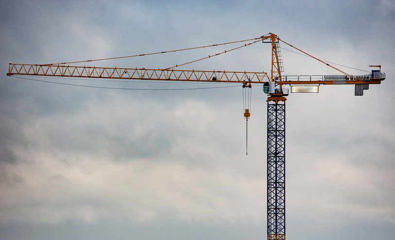 Les grues se font rares dans la région. (Photo : illustration libre de droits).
