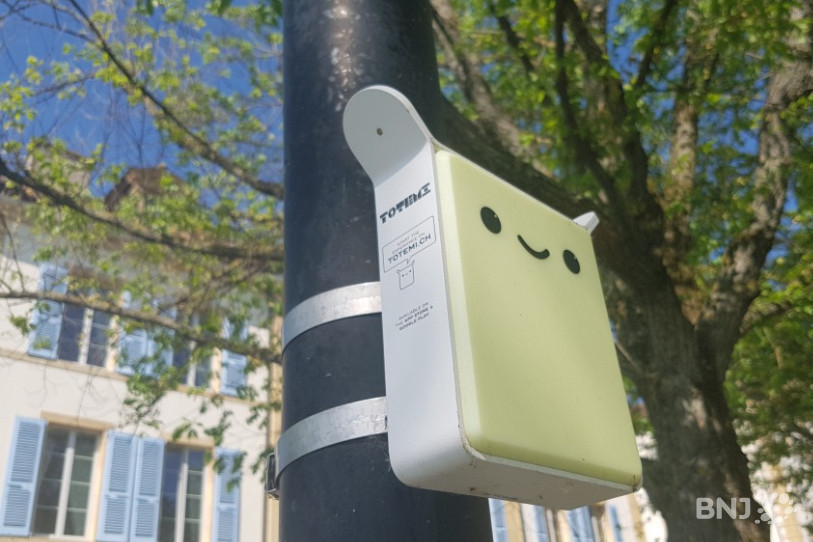 Les totemis ont fleuri dans les rues de Neuchâtel.