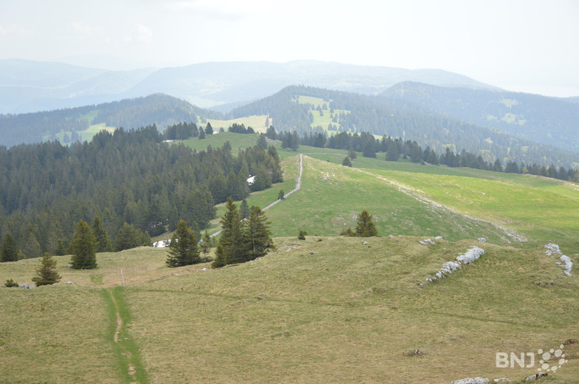 Vue prise du sommet du Chasseron.