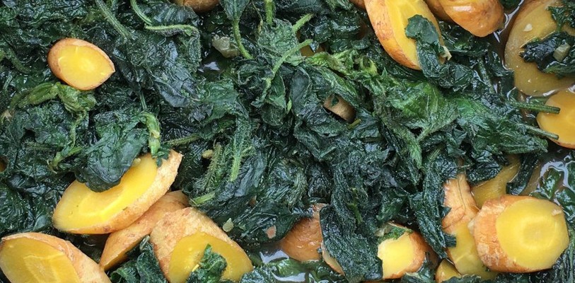 Des orties et des carottes