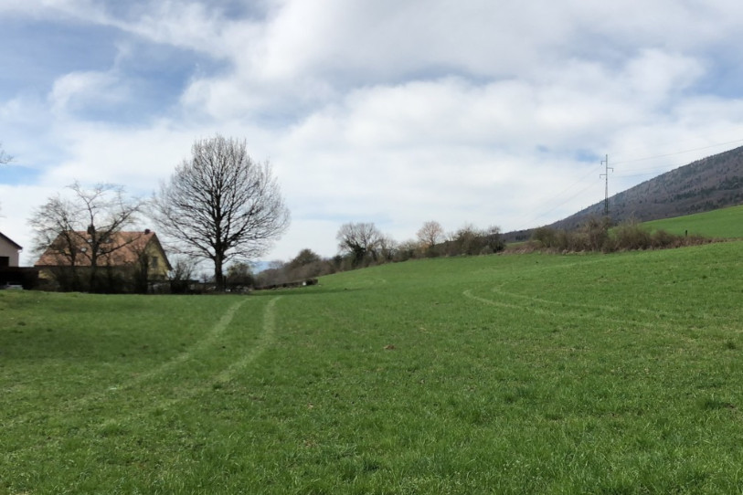 L'emplacement du projet des Chauderons, à St-Blaise.