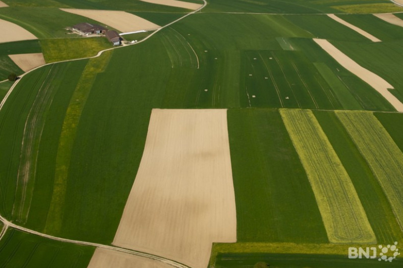 Les prix des domaines agricoles continuent de s’apprécier dans le Jura. (Photo: archives)