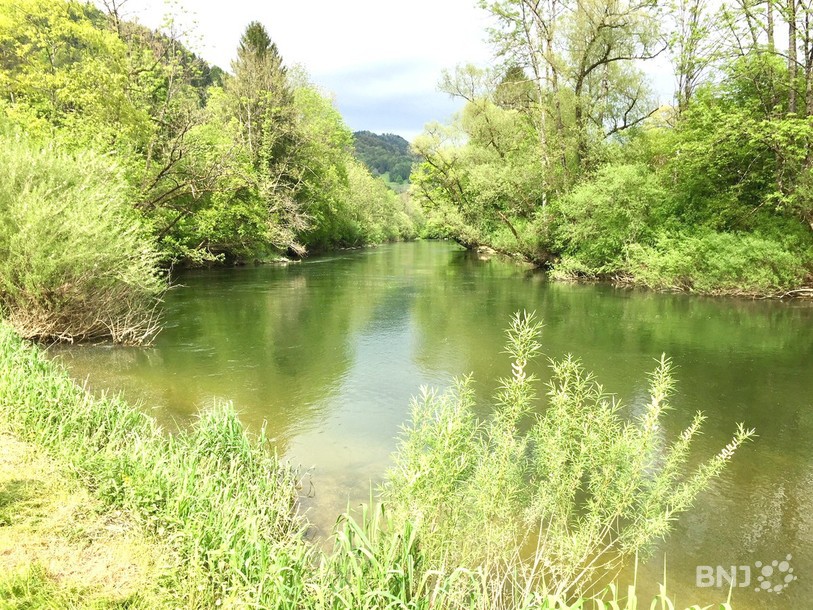 Doubs